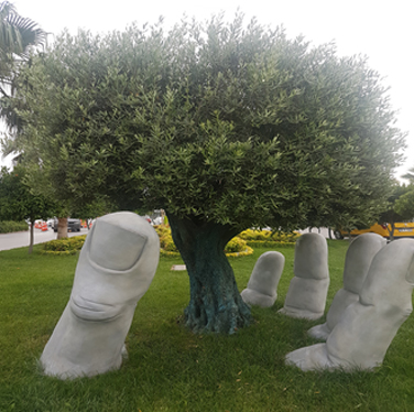 Çevreye Saygılı Olmak